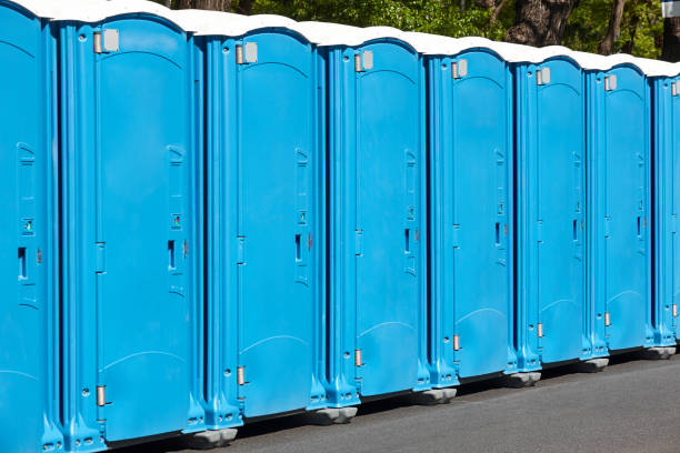 Best Portable Restroom Servicing (Cleaning and Restocking)  in Pierce City, MO